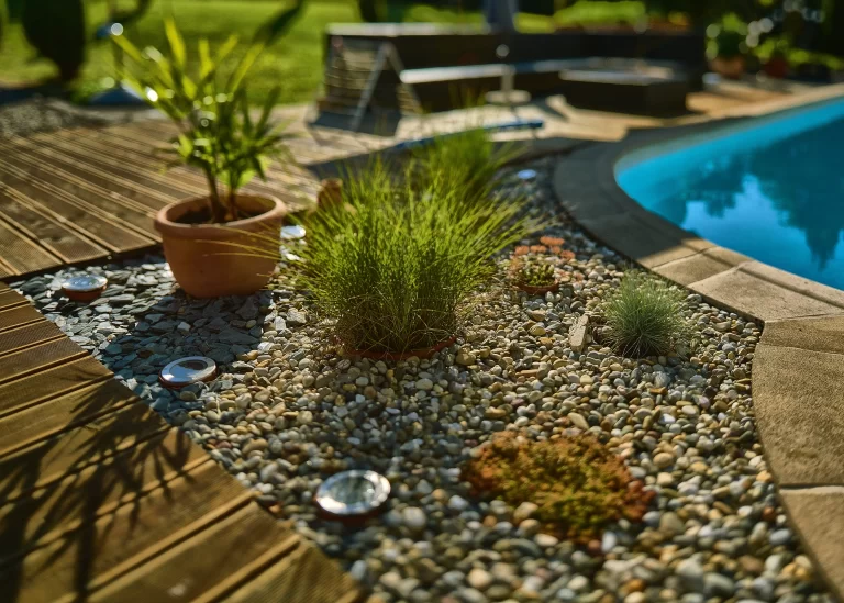 Close photo of plants by backyard pool