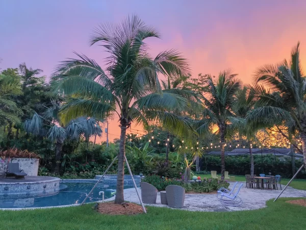 Landscape with backyard pool and lights