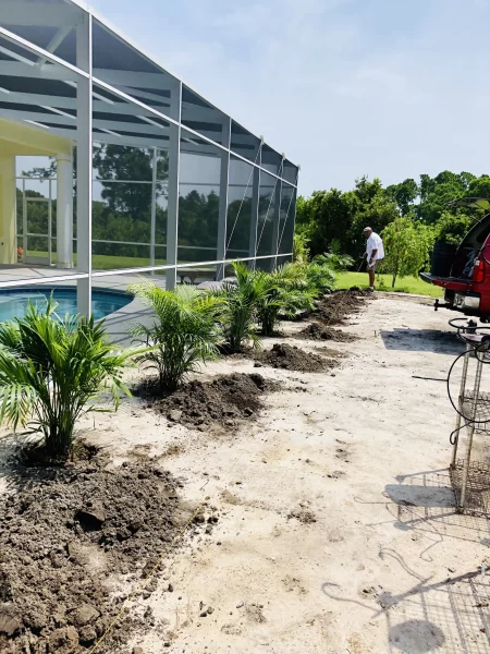Landscaping new plants by screened pool