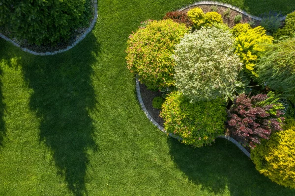Residential backyard from above
